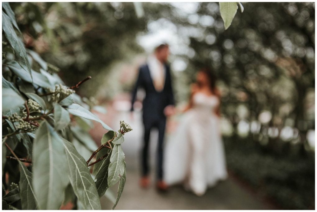 Premier snohomish & seattle wedding photographer | gsquared weddings photography a close up of green leaves in focus on the left with a blurred couple in wedding attire holding hands and walking down a tree lined path in the backgroundcapturing a romantic snohomish seattle wedding engagement moment | serving snohomish seattle                   & beyond