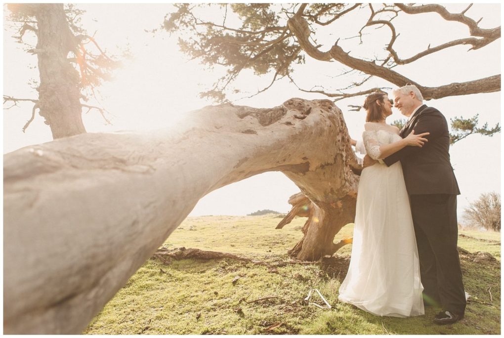 Premier snohomish & seattle wedding photographer | gsquared weddings photography a bride and groom embrace and gaze at each other under a large curved tree branch in a sunlit outdoor setting capturing the magic of a snohomish seattle wedding with soft sunlight filtering through the trees | serving snohomish seattle                   & beyond