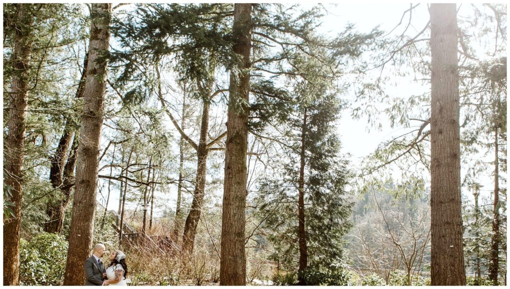 Premier snohomish & seattle wedding photographer | gsquared weddings photography a couple stands close together at the base of tall pine trees in a sunlit forest near snohomish with greenery and dappled sunlight filtering through the branchesa perfect seattle wedding engagement scene | serving snohomish seattle                   & beyond