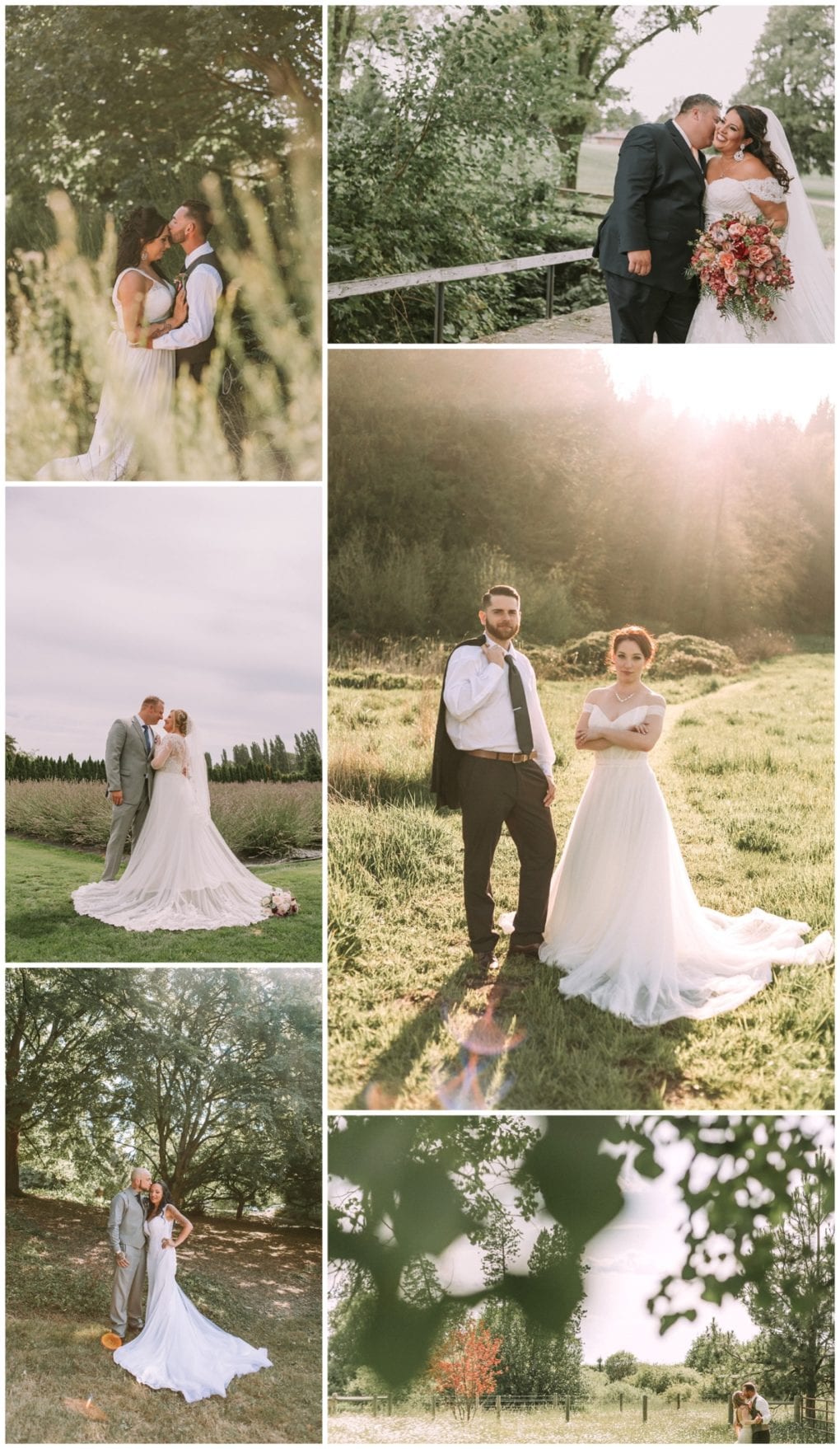 Premier snohomish & seattle wedding photographer | gsquared weddings photography a collage of snohomish wedding photos featuring a bride in a white dress and groom in a gray suit posing outdoors in sunlit natural settingsembracing and standing together in grassy and wooded areas near seattle | serving snohomish seattle                   & beyond