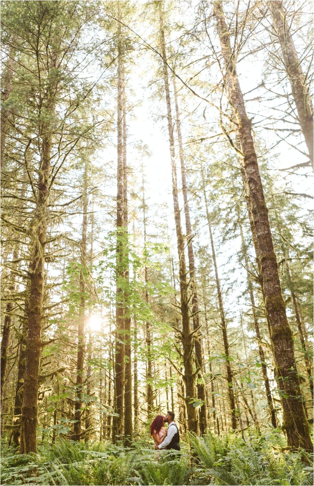 Premier snohomish & seattle wedding photographer | gsquared weddings photography a couple embraces in a lush sunlit forest near snohomish with tall trees and green ferns bathed in sunlightcapturing the romance of a seattle wedding engagement | serving snohomish seattle                   & beyond