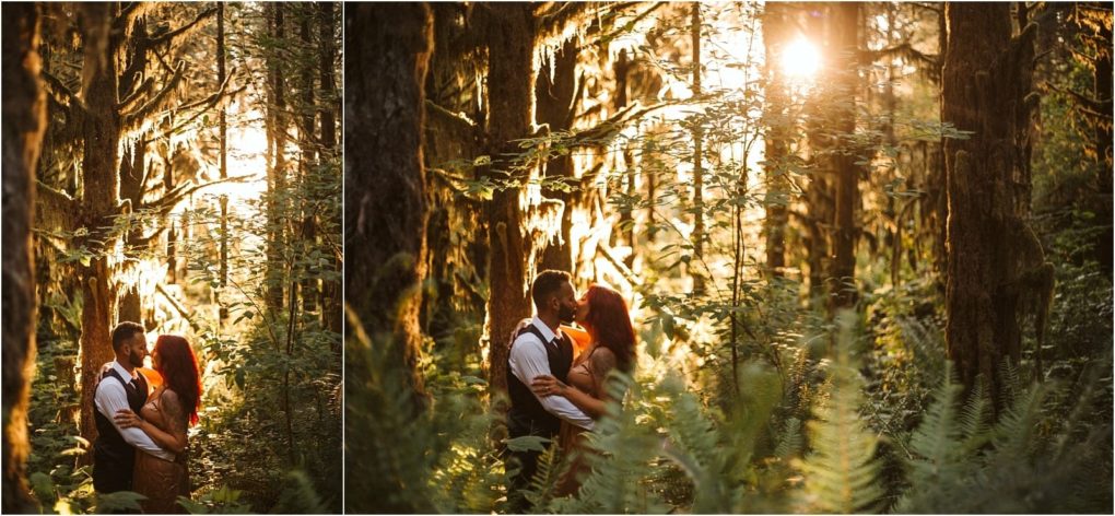 Premier snohomish & seattle wedding photographer | gsquared weddings photography a couple stands and embraces in a sunlit snohomish forest surrounded by tall trees and lush green fernsthe perfect scene for a seattle wedding engagement with warm sunlight streaming through the branches | serving snohomish seattle                   & beyond