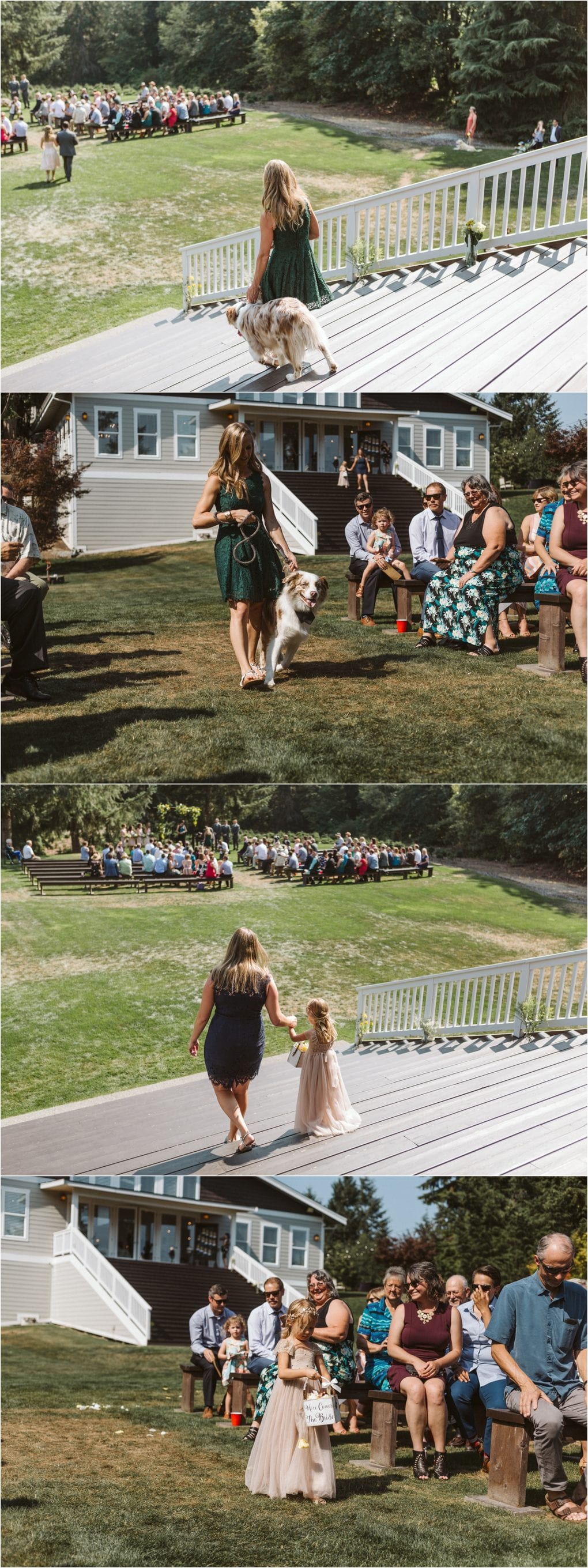 Premier snohomish & seattle wedding photographer | gsquared weddings photography at a snohomish wedding a woman walks a dog on a leash down an outdoor aisle followed by a young girl in a pink dress Guests are seated on benches on the lawn with a building and forest setting the scene | serving snohomish seattle                   & beyond