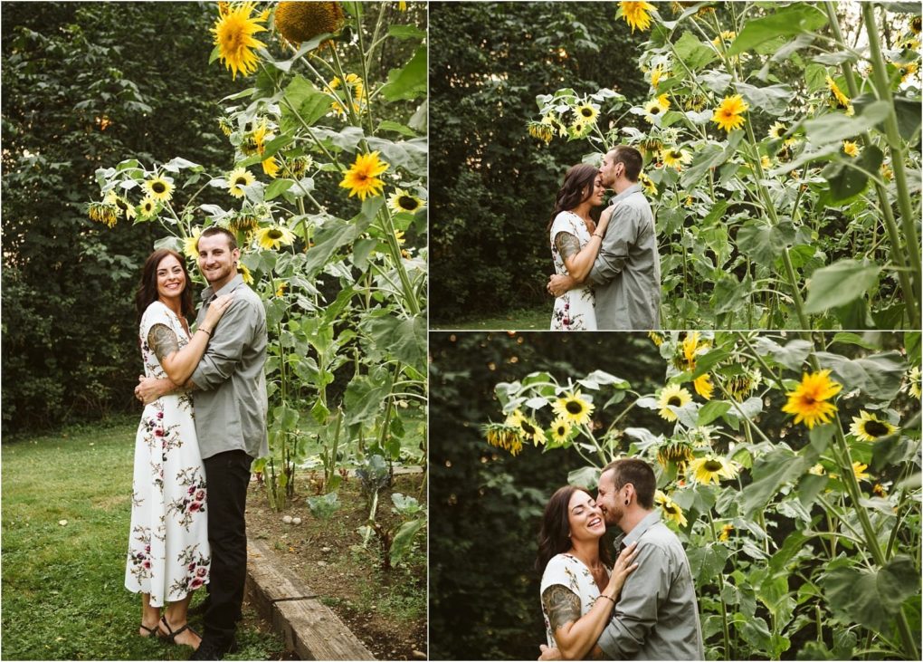 Premier snohomish & seattle wedding photographer | gsquared weddings photography a couple poses and embraces among tall sunflowers in a garden during their snohomish seattle wedding engagement They smile and share a kiss surrounded by lush greenery and bright yellow flowers | serving snohomish seattle                   & beyond