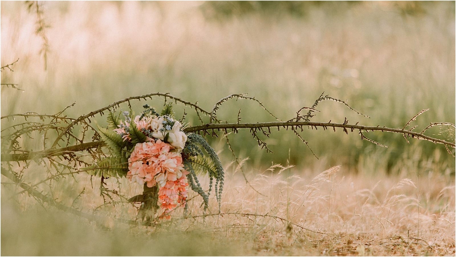 Premier Snohomish & Seattle Wedding Photographer | GSquared Weddings Photography A bouquet of pink and white flowers with greenery rests against a thorny branch in a sunlit, grassy field, creating a soft, dreamy atmosphere—perfect for a Snohomish or Seattle wedding engagement.                                   | Serving Snohomish, Seattle ,                  & Beyond
