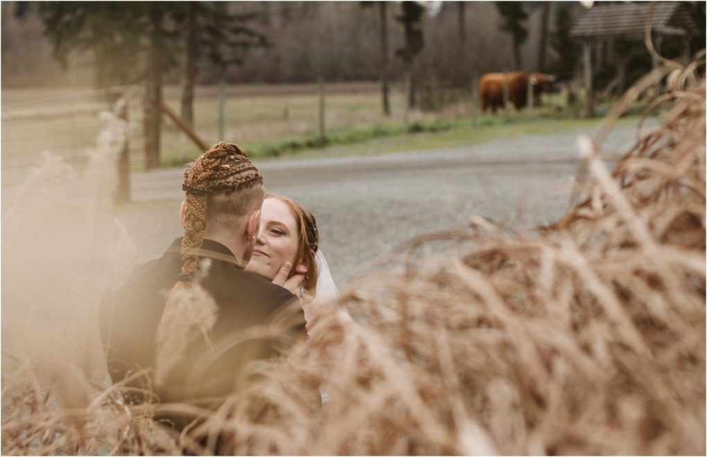 Premier snohomish & seattle wedding photographer | gsquared weddings photography a couple embraces outdoors among tall dry grass during their snohomish engagement the woman smiling at the camera In the background a cow stands in a field near a dirt road and a wooden fence | serving snohomish seattle                   & beyond
