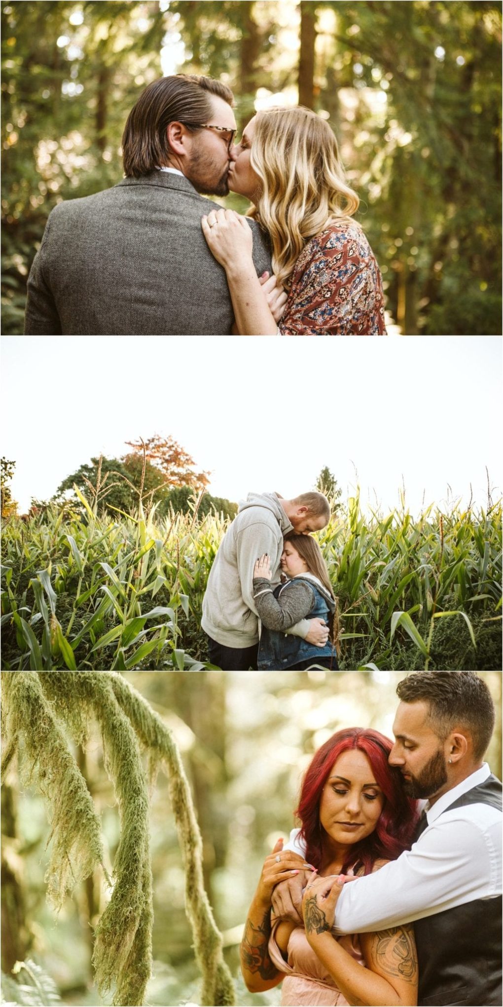 Premier snohomish & seattle wedding photographer | gsquared weddings photography three photos of couples outdoors the first couple kisses in a forest the second embraces by tall corn stalks the third stands in a mossy forest with the man holding the woman from behindperfect inspiration for a snohomish seattle wedding engagement | serving snohomish seattle                   & beyond