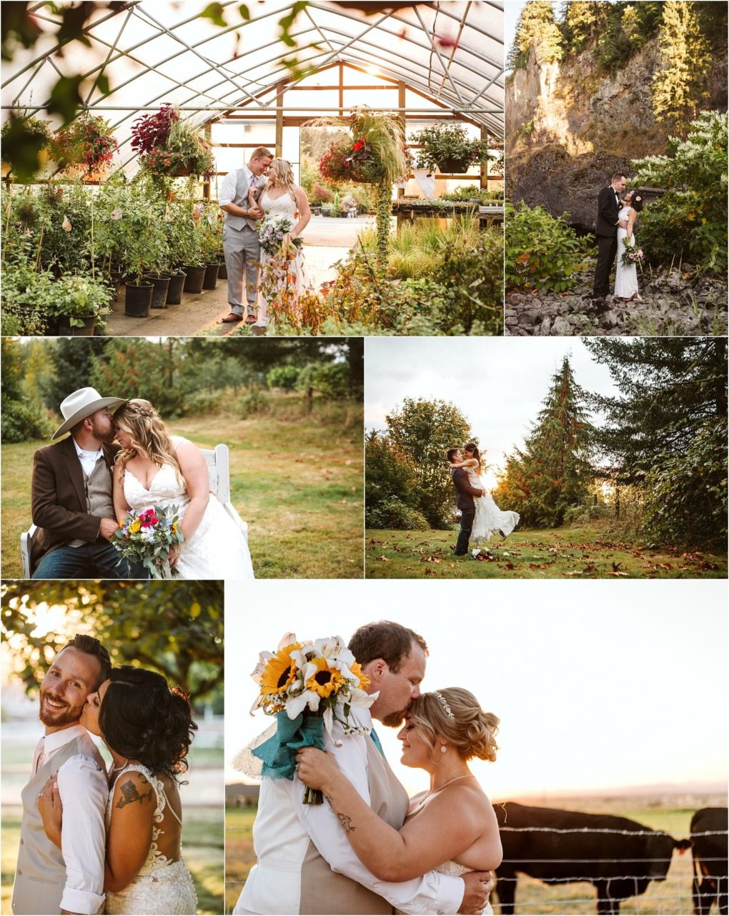 Premier snohomish & seattle wedding photographer | gsquared weddings photography a collage of six snohomish wedding photos features a bride and groom in various outdoor and greenhouse settings embracing smiling and holding a bouquet surrounded by lush greenery and sunlight | serving snohomish seattle                   & beyond