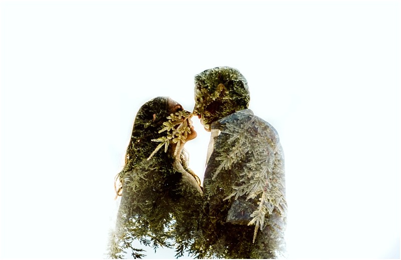 Premier Snohomish & Seattle Wedding Photographer | GSquared Weddings Photography A double exposure image of a couple facing each other, their silhouettes overlaid with tree branches and leaves, set against a bright white background—a dreamy Snohomish Seattle wedding engagement portrait.                                   | Serving Snohomish, Seattle ,                  & Beyond