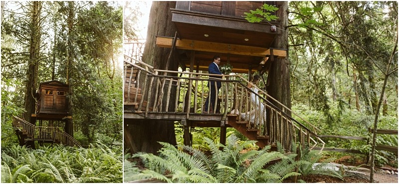 Premier snohomish & seattle wedding photographer | gsquared weddings photography a couple dressed in wedding attire stands on the stairs of a rustic treehouse surrounded by tall trees and lush ferns with sunlight filtering through the foliagecapturing the magic of a snohomish seattle wedding in a forest setting | serving snohomish seattle                   & beyond