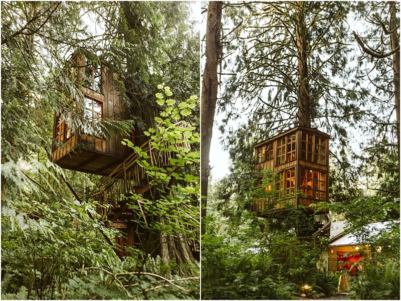 Premier snohomish & seattle wedding photographer | gsquared weddings photography a cozy wooden treehouse with large windows is nestled among tall green trees and dense foliage perfect for a snohomish seattle wedding engagement Warm light glows from inside contrasting with the lush forest surroundings | serving snohomish seattle                   & beyond