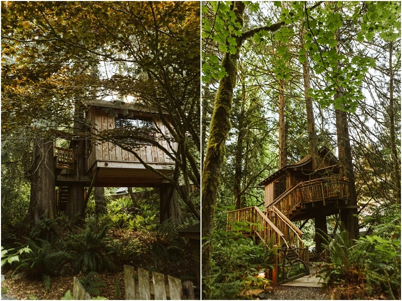 Premier snohomish & seattle wedding photographer | gsquared weddings photography two photos of rustic wooden treehouses elevated among tall trees and lush green foliage perfect for a snohomish seattle wedding engagement with stairs leading up to them surrounded by dense forest and ferns | serving snohomish seattle                   & beyond