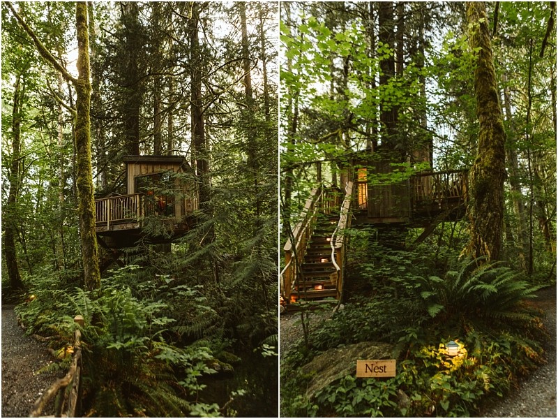Premier snohomish & seattle wedding photographer | gsquared weddings photography a cozy wooden treehouse is nestled among tall trees and lush greenery perfect for a snohomish seattle wedding engagement A wooden staircase leads up to the treehouse with a sign below reading nest surrounded by ferns and forest plants | serving snohomish seattle                   & beyond