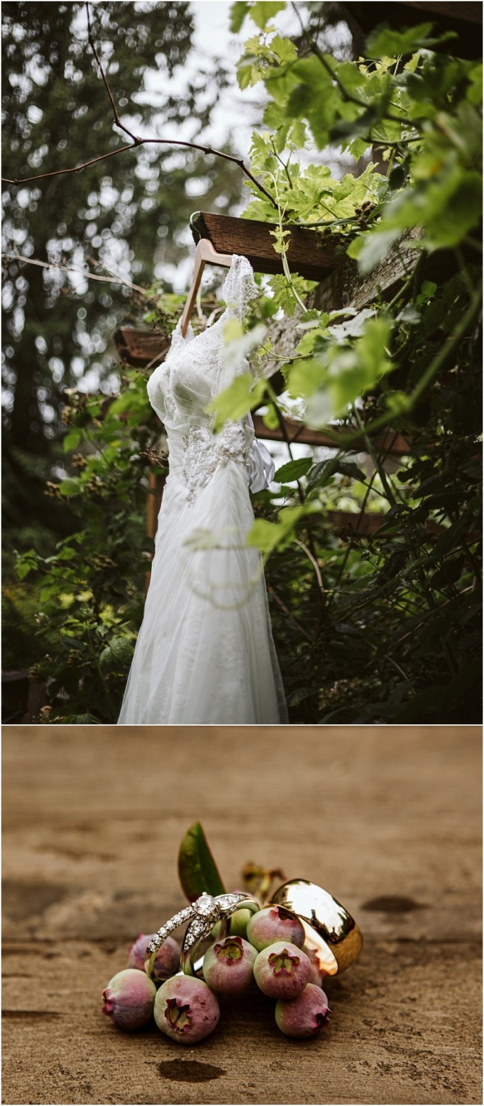 Premier snohomish & seattle wedding photographer | gsquared weddings photography a white wedding dress hangs outdoors among green leaves near snohomish below a close up of wedding rings and small purple fruits rests on a rustic surface capturing the charm of a seattle wedding engagement | serving snohomish seattle                   & beyond