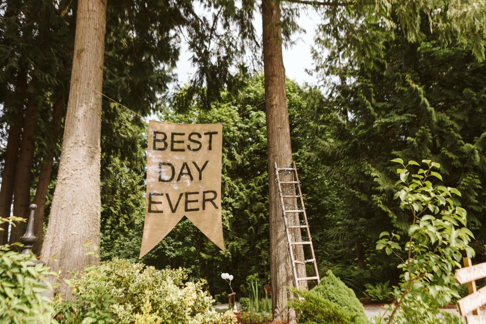 Premier Snohomish & Seattle Wedding Photographer | GSquared Weddings Photography A burlap banner reading BEST DAY EVER hangs between two tall trees in a lush, green forest—perfect for a dreamy Snohomish Seattle wedding or engagement. A metal ladder leans against one tree, surrounded by vibrant plants.                                   | Serving Snohomish, Seattle ,                  & Beyond