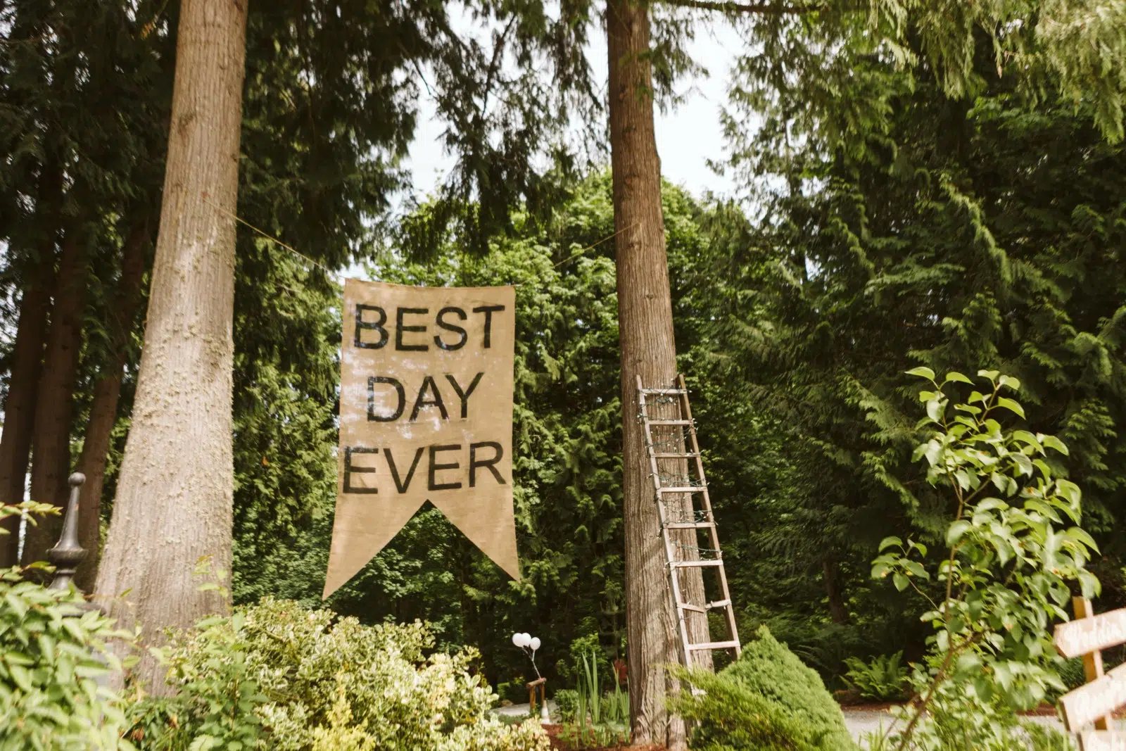 Premier Snohomish & Seattle Wedding Photographer | GSquared Weddings Photography A burlap banner reading BEST DAY EVER hangs between two tall trees in a lush, green forest—perfect for a dreamy Snohomish Seattle wedding or engagement. A metal ladder leans against one tree, surrounded by vibrant plants. 47.9129° N, 122.0982° W | Serving Snohomish, Seattle , Orlando & Beyond