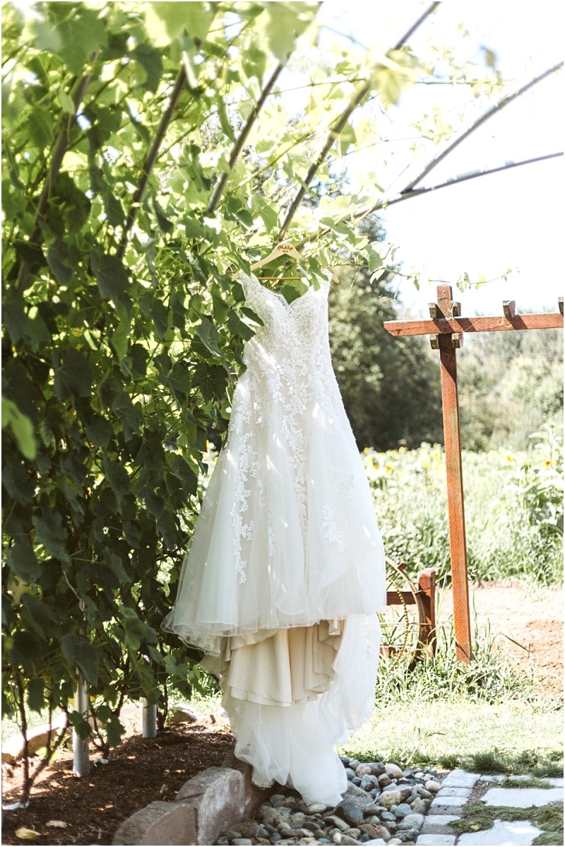 A white lace wedding dress hangs from a leafy tree branch outdoors on a sunny snohomish day with a wooden pergola and green garden in the background Snohomish wedding photography