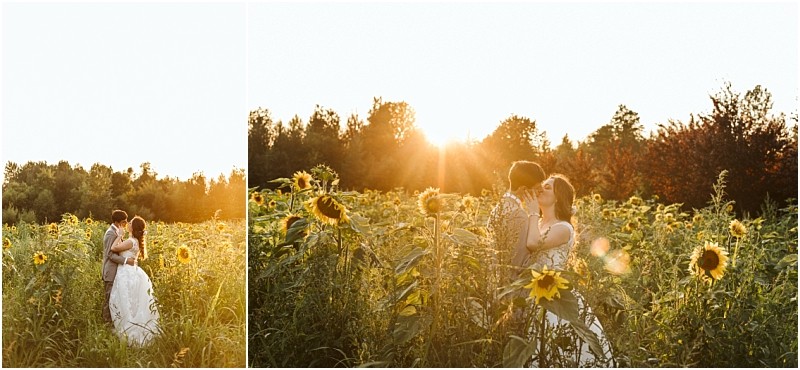 A bride and groom embrace in a sunflower field at sunset in snohomish surrounded by tall sunflowers and greenery with golden sunlight streaming through the trees in the background Snohomish wedding photography