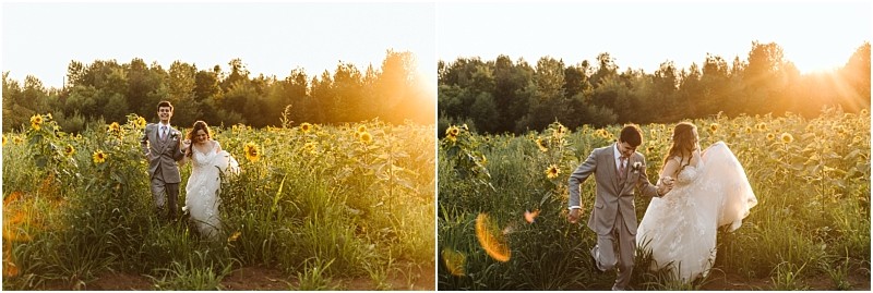 A bride and groom walk and run happily through a snohomish field of sunflowers at sunset holding hands Sunlight streams through the scene creating a warm golden glow The couple looks joyful and carefree Snohomish wedding photography