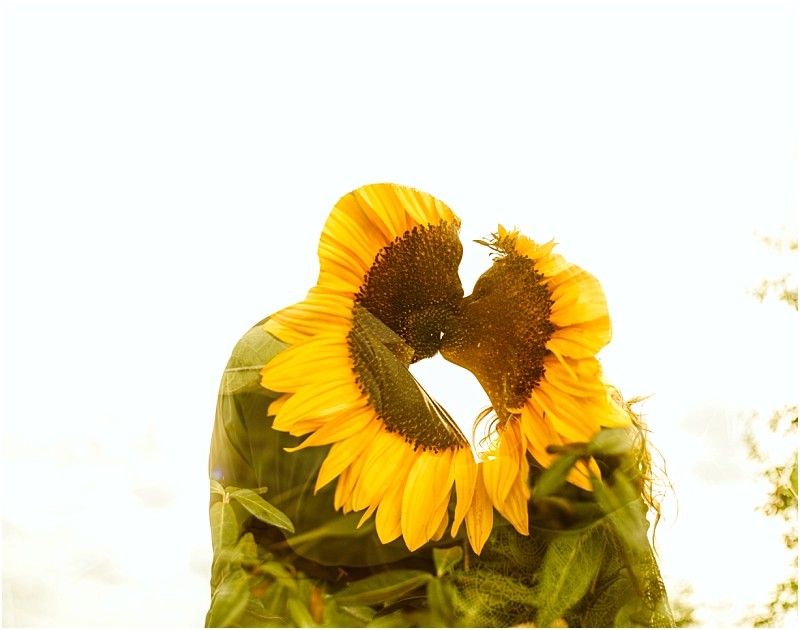 A double exposure image shows two people facing each other with large sunflowers overlaid making their faces appear as sunflowers against a bright light background evoking the vibrant spirit of snohomish Snohomish wedding photography