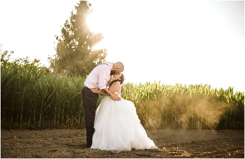 Premier Snohomish & Seattle Wedding Photographer | GSquared Weddings Photography A bride and groom share a kiss in a field at sunset during their Snohomish wedding, with tall green corn stalks behind them and sunlight streaming through the trees, creating a warm, romantic atmosphere.                                   | Serving Snohomish, Seattle ,                  & Beyond