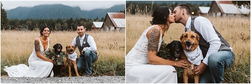 Premier snohomish & seattle wedding photographer | gsquared weddings photography a bride and groom kneel in a field with two dogs wearing bandanas during their snohomish seattle wedding In one photo they smile at the camera in another the couple kisses while the dogs look forward barns and mountains behind them | serving snohomish seattle                   & beyond
