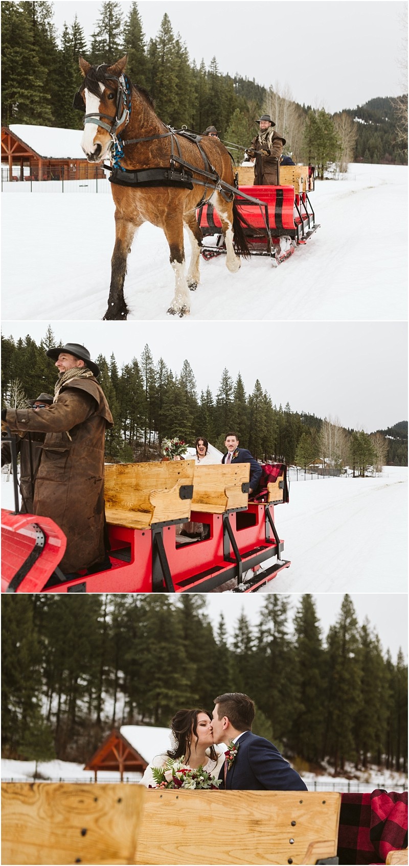 Snohomish & seattle wedding photographer | gsquared weddings photography three photos a horse pulls a red sleigh with people through snowy woods near pine trees and cabinsa magical leavenworth wedding moment as guests smile and in the last image a couple shares a kiss on the sleigh | wedding photo by gsquared weddings
