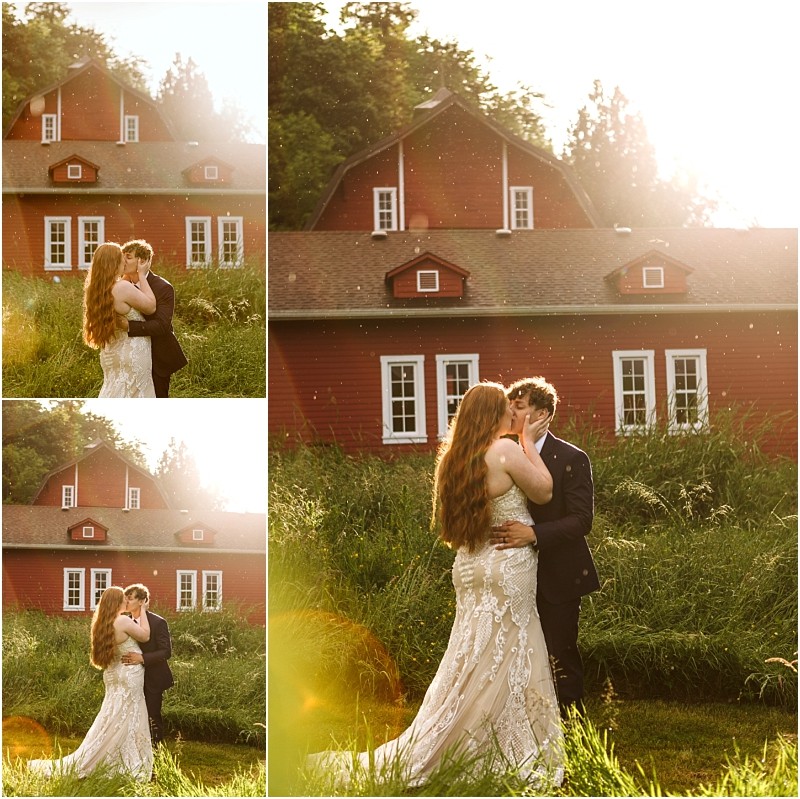 Snohomish & seattle wedding photographer | gsquared weddings photography a couple in wedding attire embraces and kisses in front of a red barn at marionfield farm elopement surrounded by tall green grass and sunlight creating a warm romantic atmosphere | wedding photo by gsquared weddings