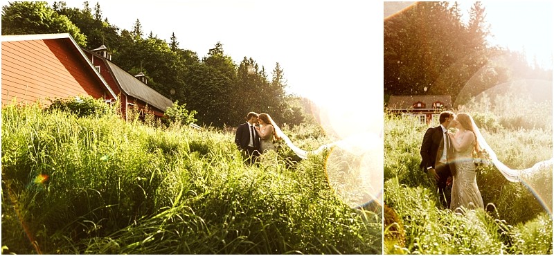 Snohomish & seattle wedding photographer | gsquared weddings photography a bride and groom walk through tall grass near a red barn at their marionfield farm elopement holding hands and sharing an intimate moment as warm sunlight and lens flares create a dreamy romantic atmosphere | wedding photo by gsquared weddings