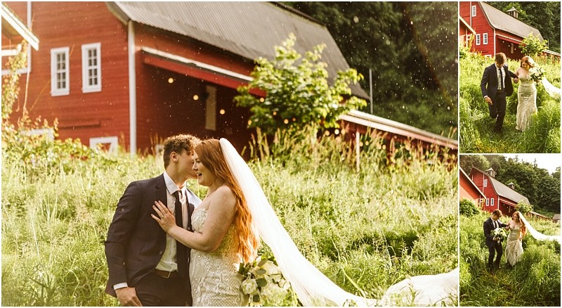 Snohomish & seattle wedding photographer | gsquared weddings photography a bride and groom embrace and walk through tall grass at marionfield farm elopement sunlight streaming through and particles floating in the air creating a dreamy romantic scene in front of bright red barns | wedding photo by gsquared weddings