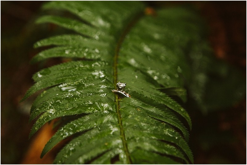 Snohomish & seattle wedding photographer | gsquared weddings photography a sparkling diamond engagement ring rests on the center of a large green fern leaf covered with water dropletscaptured during a deception pass engagement session in june 2020 | wedding photo by gsquared weddings