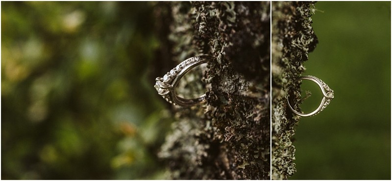 Snohomish & seattle wedding photographer | gsquared weddings photography a close up of a diamond engagement ring hanging on the bark of a tree with green foliage blurred in the background The image from a gray bridge engagement session highlights the rings details and the textured tree surface | wedding photo by gsquared weddings