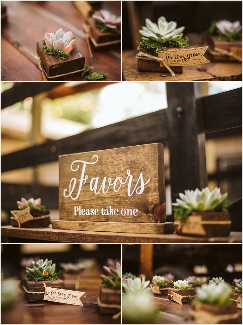 Collage of small succulent plants in wooden boxes labeled let love grow arranged around a rustic wood sign that reads favors please take one set on a wooden table at a snohomish event Snohomish wedding photography