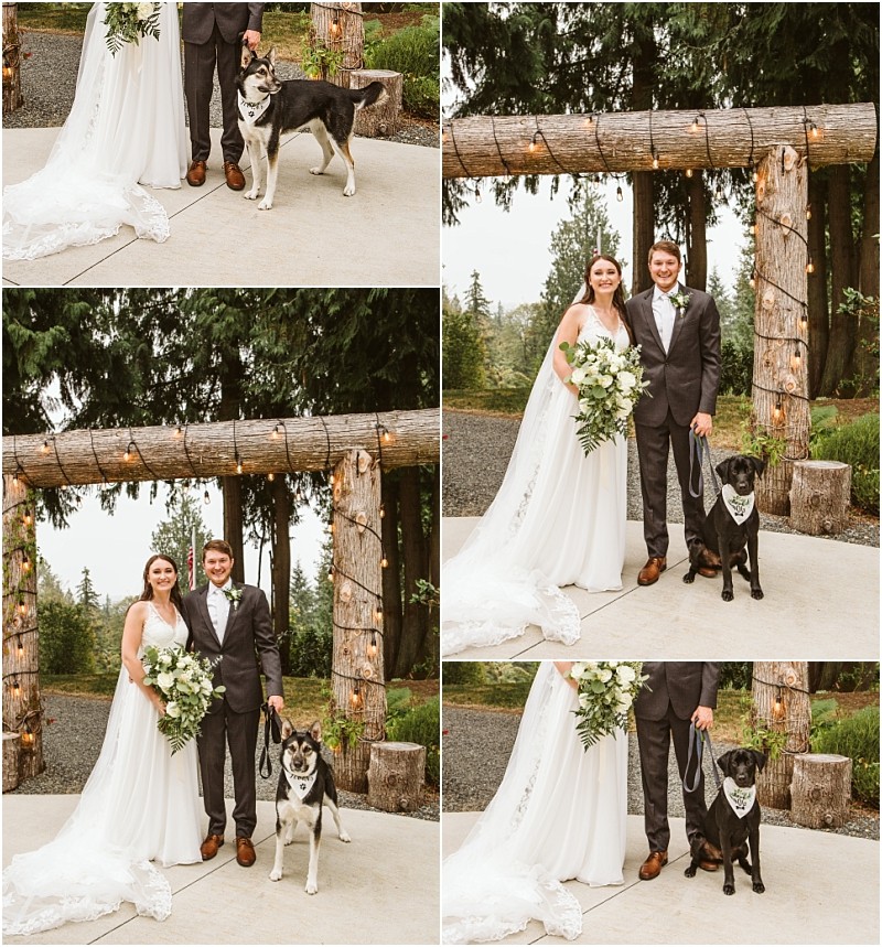 A bride and groom pose outdoors on their wedding day in snohomish with two different dogs standing beneath a rustic wooden arch decorated with string lights and greenery Snohomish wedding photography