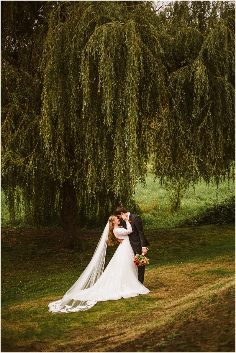 A bride and groom share a kiss beneath a large sweeping willow tree in snohomish The bride wears a long white gown with a flowing veil while the groom in a dark suit stands on green grass holding a bouquet of flowers Snohomish wedding photography