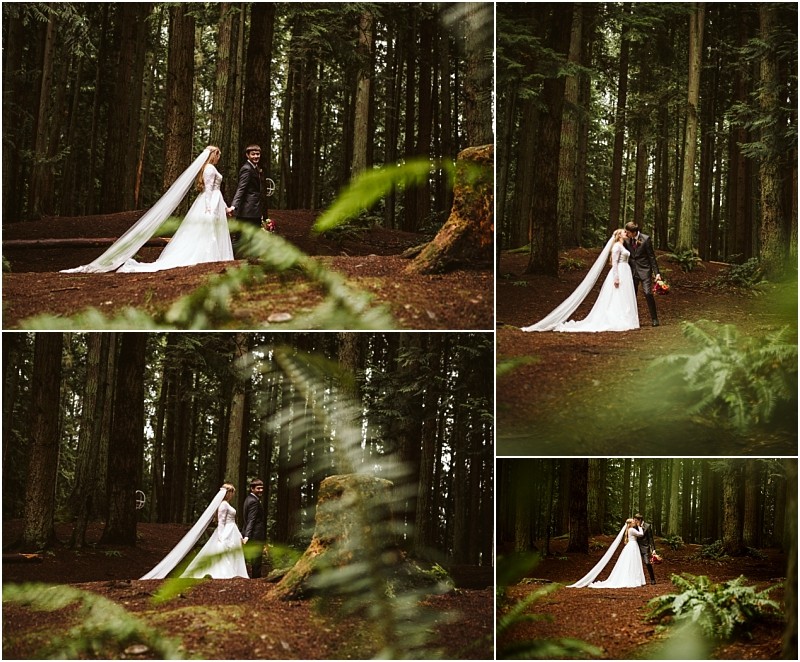 A collage of four wedding photos shows a bride and groom in a snohomish forest The bride wears a long white gown and veil and the couple poses among tall trees embraced and walking together on the forest floor Snohomish wedding photography