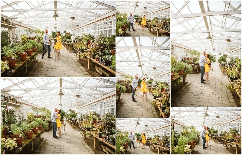 Nine photos show a couple in a snohomish greenhouse filled with plants The woman wears a yellow dress the man wears a light shirt They walk dance and embrace surrounded by potted greenery under a glass ceiling Snohomish wedding photography