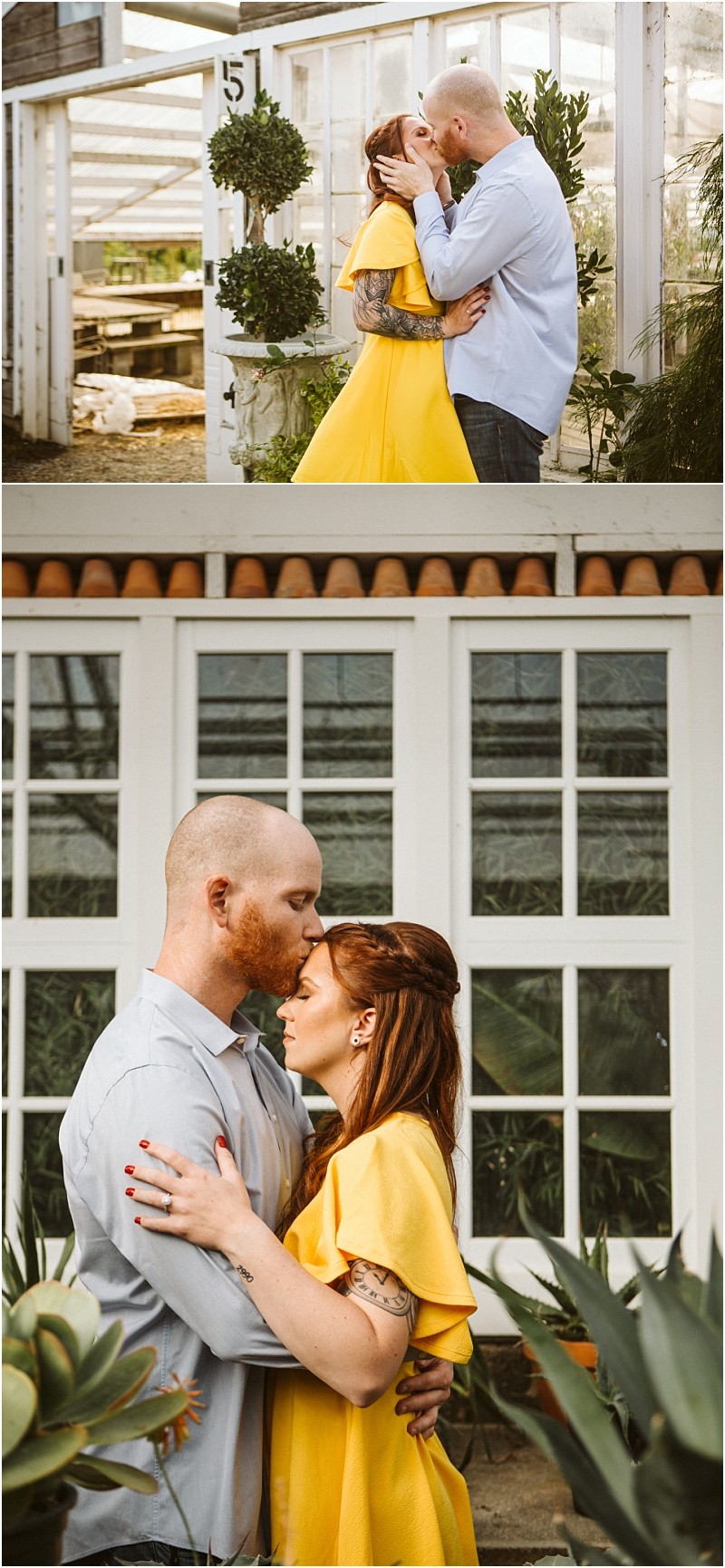 A couple embraces and kisses in a snohomish greenhouse and garden setting the woman wears a bright yellow dress and the man a light shirt surrounded by lush green plants and white paneled backgrounds Snohomish wedding photography