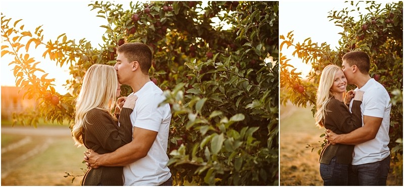 A couple stands closely by an apple tree at sunset in snohomish the man kisses the womans forehead while she smiles and hugs him both looking happy and affectionate Snohomish wedding photography