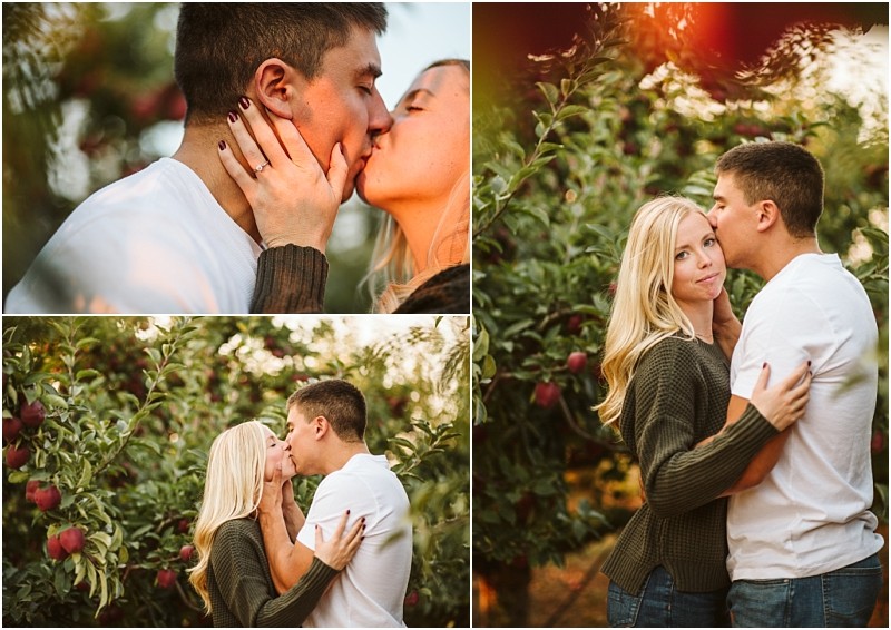 A young couple shares affectionate moments among snohomish apple trees kissing and embracing each other while surrounded by ripe red apples in an orchard The woman shows an engagement ring in one photo Snohomish wedding photography