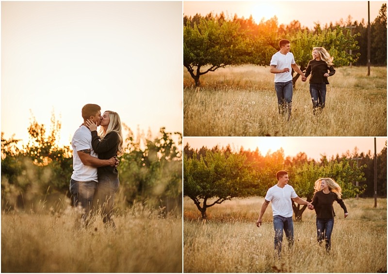 A couple enjoys a golden snohomish sunset in a grassy field walking hand in hand and sharing a kiss among trees with warm sunlight in the background Snohomish wedding photography