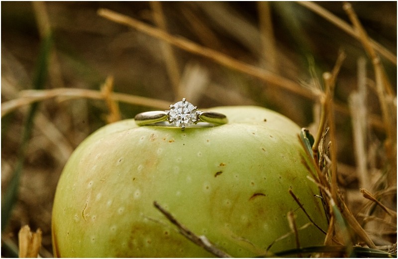 A silver engagement ring with a round diamond is placed on top of a green apple resting on dry grass capturing rustic snohomish charm Snohomish wedding photography