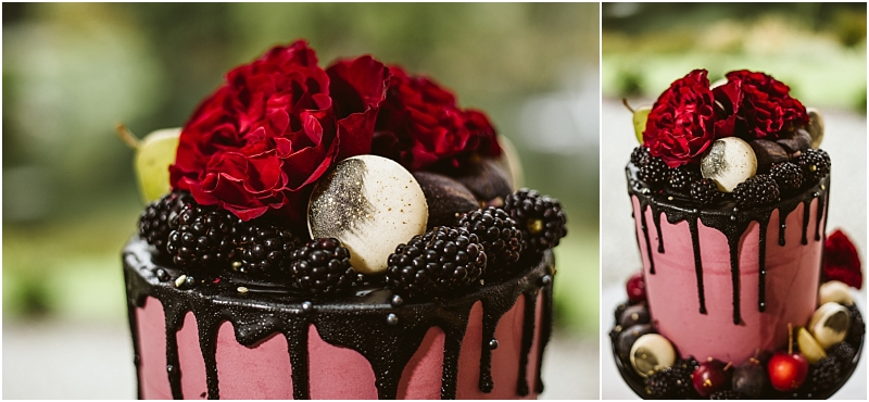 A two tiered cake with pink frosting black drip icing blackberries and macarons topped with red flowers and beautifully displayed outdoors in snohomish Snohomish wedding photography