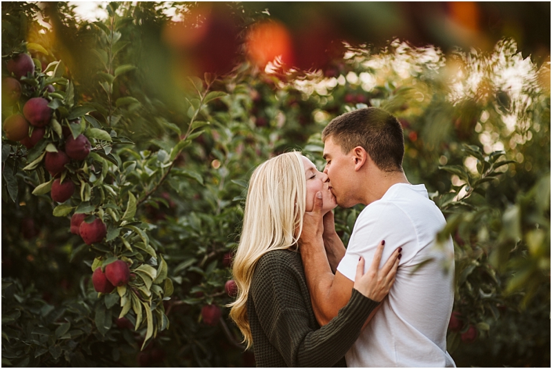 A couple stands in a snohomish orchard surrounded by red apples with the man gently holding the womans face as they share a kiss both appearing happy and affectionate Snohomish wedding photography A couple stands in a snohomish orchard surrounded by red apples with the man gently holding the womans face as they share a kiss both appearing happy and affectionate Snohomish wedding photography