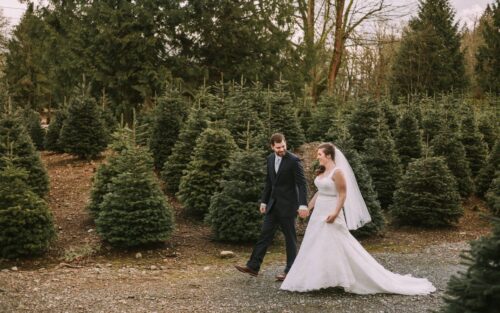 A bride in a white dress and veil walks hand in hand with a groom in a dark suit through a field of evergreen trees both smiling and looking at each othercapturing the magic often found at beautiful Snohomish wedding venues Snohomish Wedding Photography A bride in a white dress and veil walks hand in hand with a groom in a dark suit through a field of evergreen trees, both smiling and looking at each other—capturing the magic often found at beautiful Snohomish wedding venues. Snohomish Wedding Photography