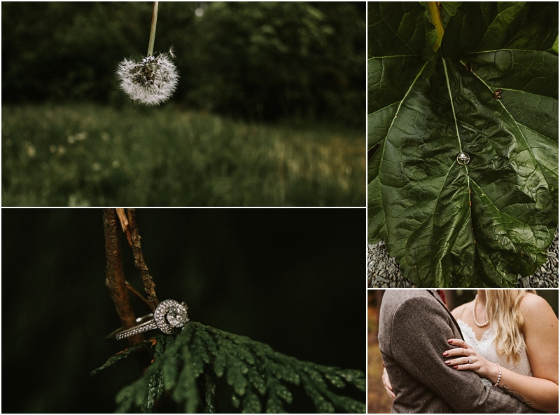 A collage of four photos a dandelion puff in a grassy snohomish field an engagement ring on a large green leaf a ring on a pine branch and a close up of a woman with her hand on a mans arm Snohomish wedding photography