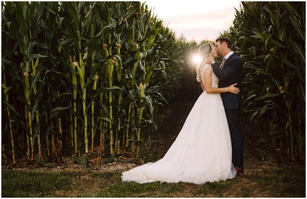 Carleton farm wedding in the cornstalks in the fall bride and groom Carleton farm wedding in the cornstalks in the fall bride and groom