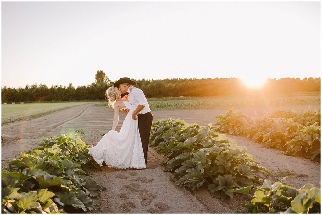 Seattle wedding photographer snohomish wedding photographer gsquared weddings bride and groom in a field at sunset Seattle wedding photographer snohomish wedding photographer gsquared weddings bride and groom in a field at sunset