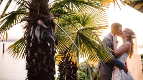 A bride and groom share a kiss at sunset by a palm tree near the water Sunlight shines through the leaves capturing the romance often found at affordable Snohomish wedding venues Snohomish Wedding Photography A bride and groom share a kiss at sunset by a palm tree near the water. Sunlight shines through the leaves, capturing the romance often found at affordable Snohomish wedding venues. Snohomish Wedding Photography