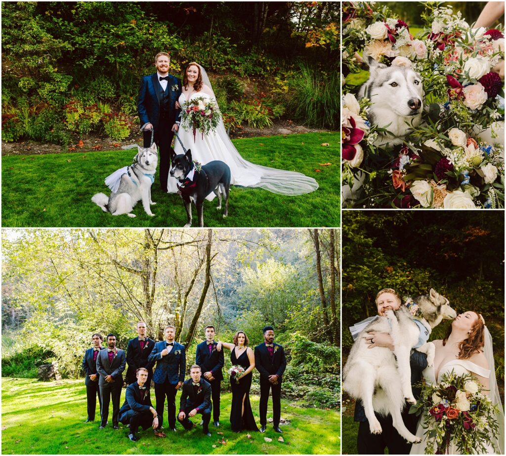 Snohomish Wedding Photographer GSquared Weddings A bride and groom pose with two dogs on grass. One dog wears a floral collar. A close-up shows a dog next to wedding flowers. The bridal party stands in the sunlit garden. The bride joyfully holds both dogs. Serving Seattle, Snohomish and Washington State